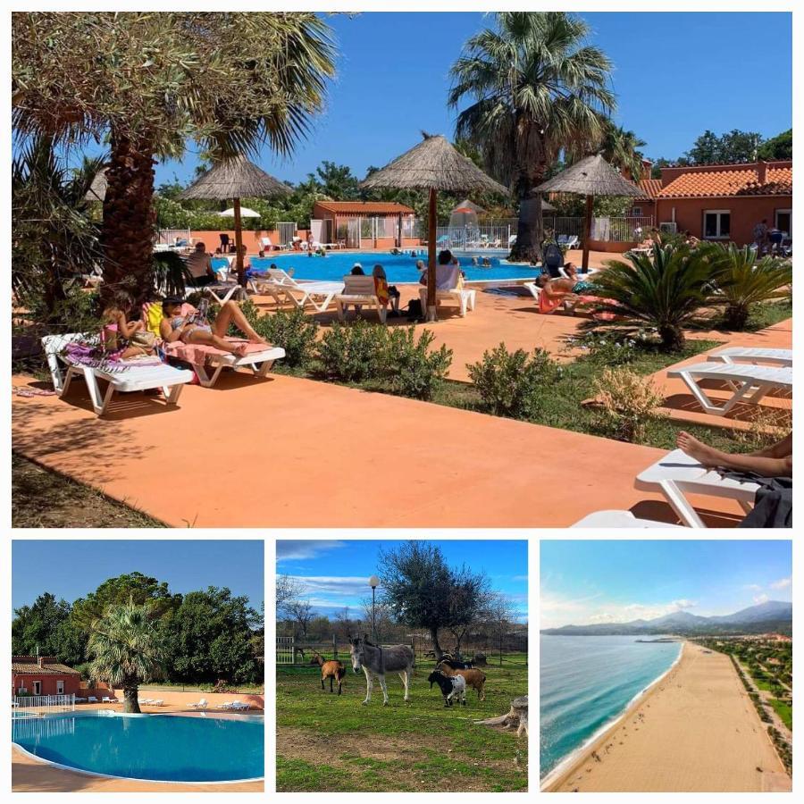 Camping Le Clos Du Thym Argelès-sur-Mer Exteriör bild